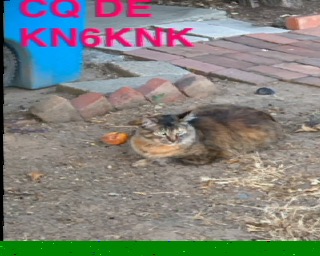 slow scan television frame. depicts a cat at the center of the image, with text CQ DE KN6KNK at the top left